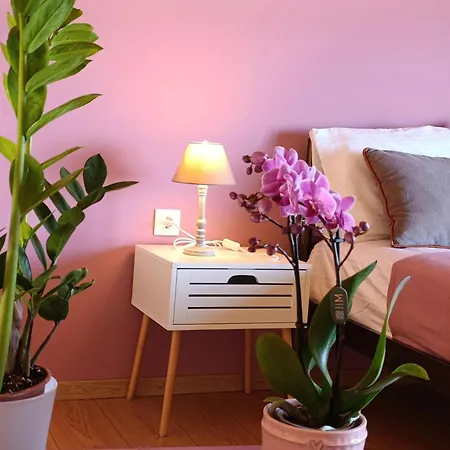 Altheas Maisonettes *