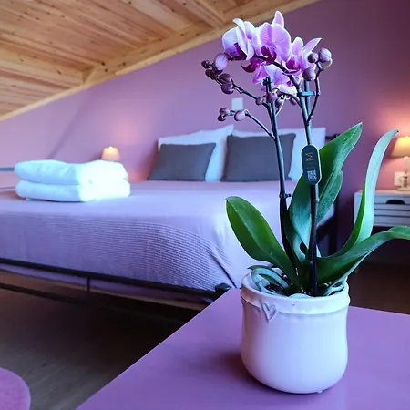 Altheas Maisonettes Apartament