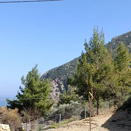 Altheas Maisonettes *