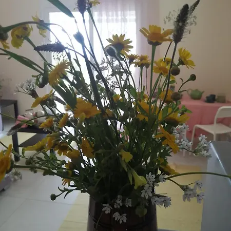 Altheas Maisonettes Apartament Xylokastro