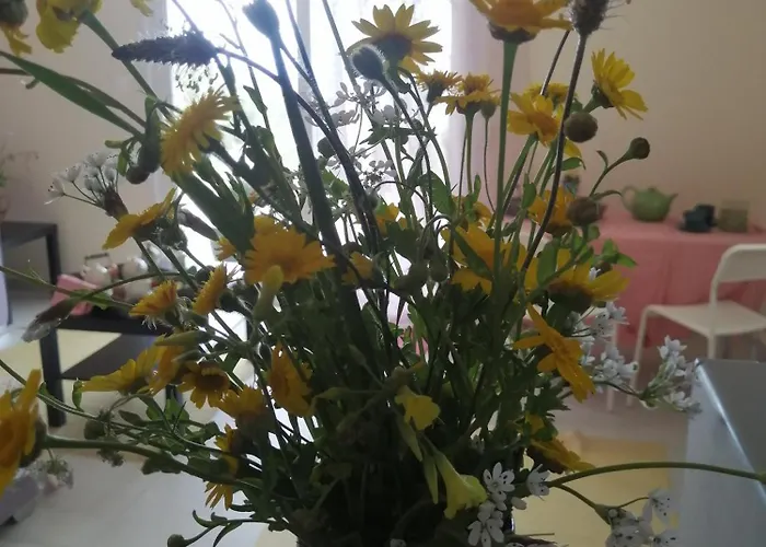 Altheas Maisonettes Apartamento Xylokastro